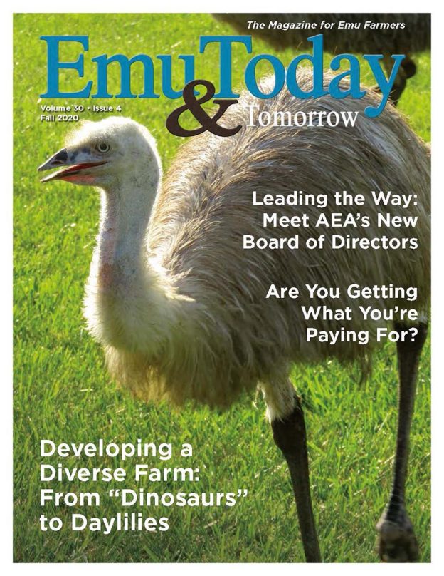 Cover of the Fall 2020 Issue of ET&T Magazine