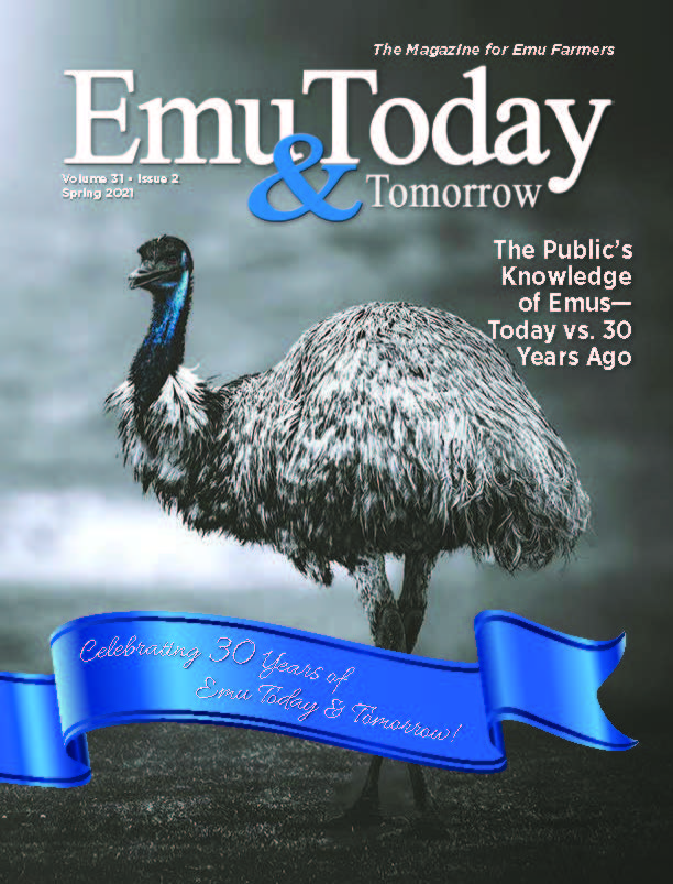 Cover of the Spring 2021 issue of ET&T