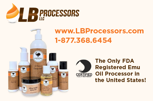 Advertisement for LB Processors. 
