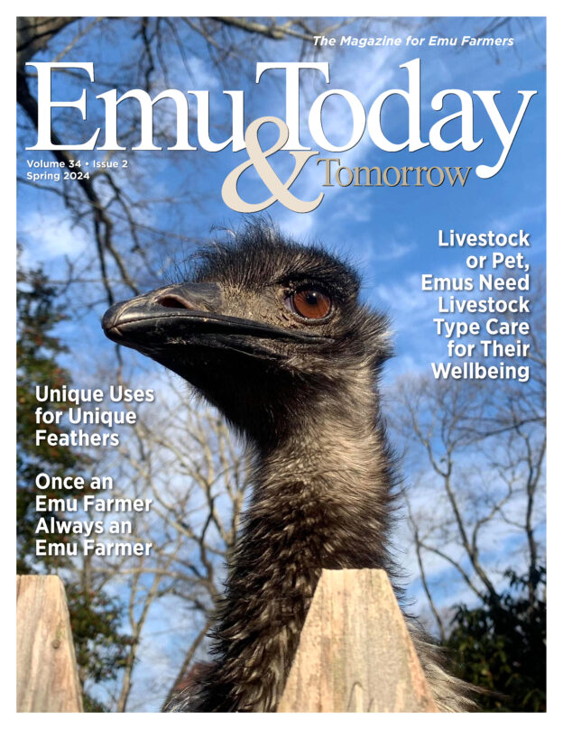 Cover of Spring 2024 Emu Today and Tomorrow Magazine.