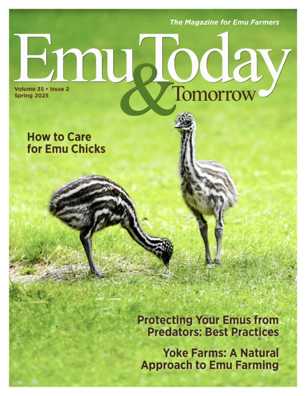 Cover of the Spring 2025 issues of ET&T Magazine.